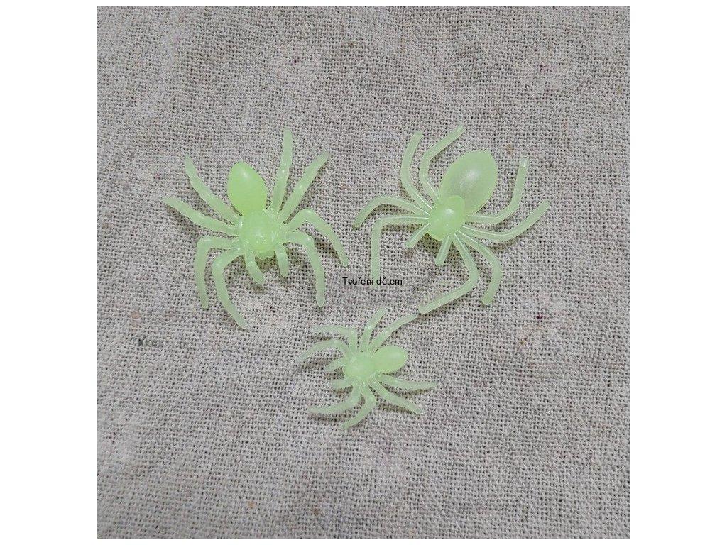 Pavouci tarantule - ve tmě svíticí