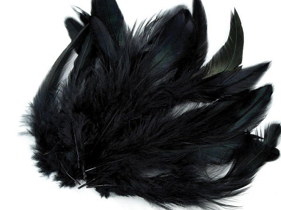 Peří slepičí délka 6-20 cm černá